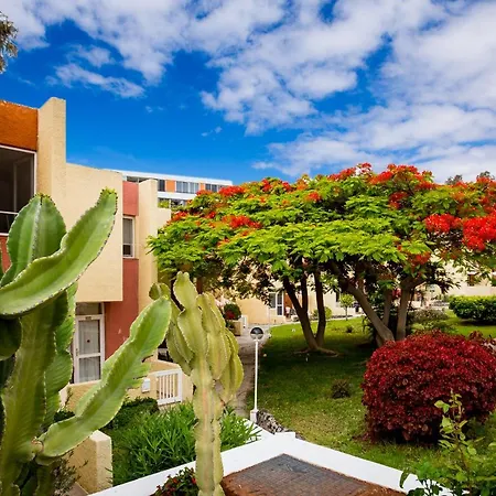 Costa Adeje Cortijo 1-8 Apartment Playa de las Americas (Tenerife)